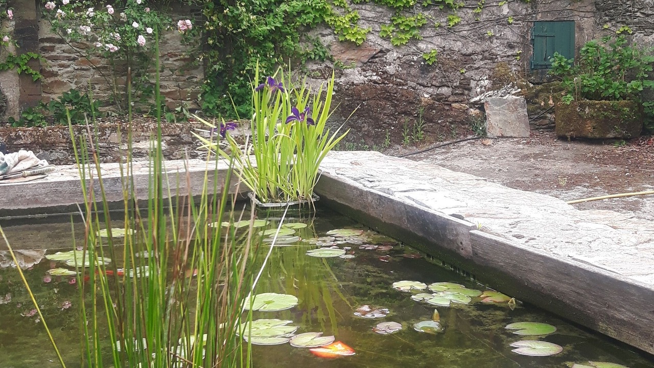Photo of Outdoor in Paulinet