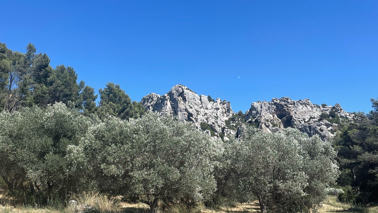 Photo of Others in Les Baux-de-Provence