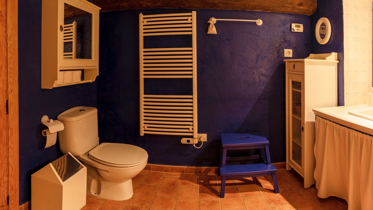 Photo of Bathroom in Secastilla