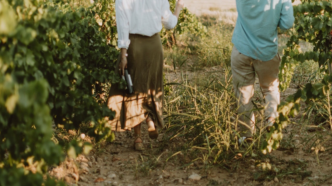 Photo of Others in Secastilla