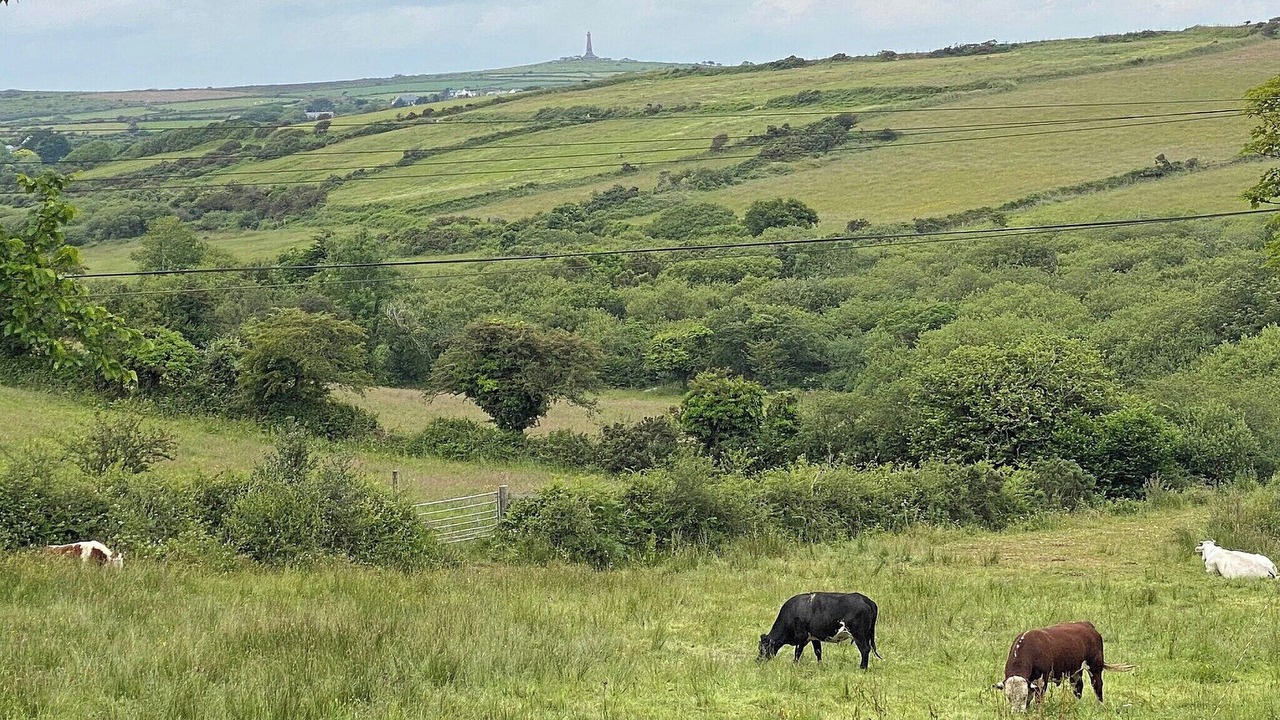 Photo of Others in Camborne