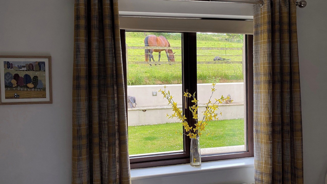 Photo of Others in Camborne