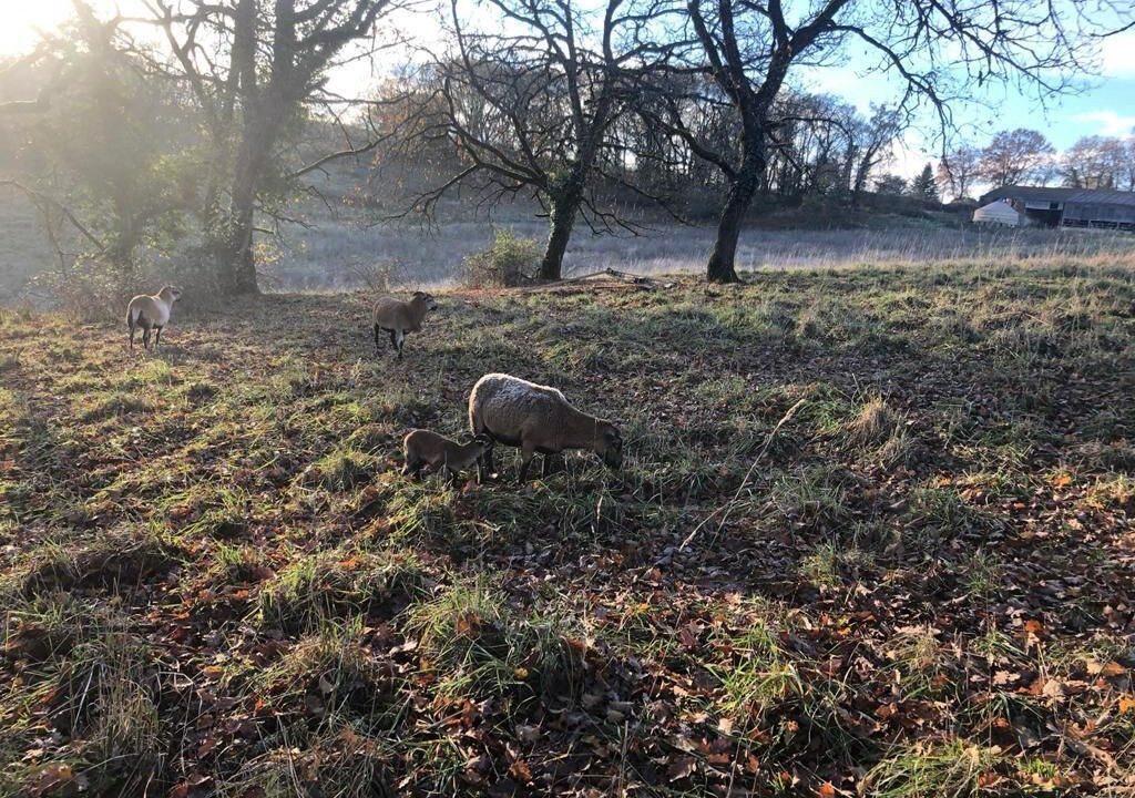 Photo of Outdoor in Salignac-Eyvignes