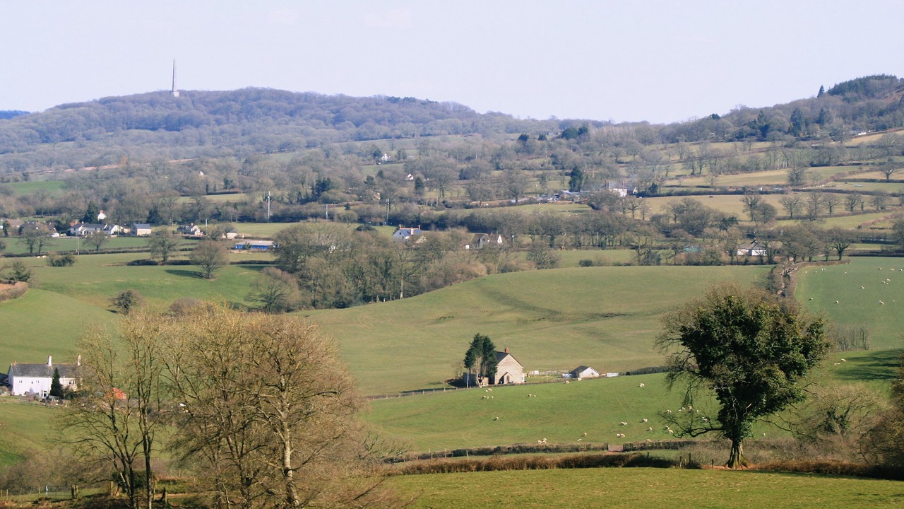 Photo of Others in Saint Blazey