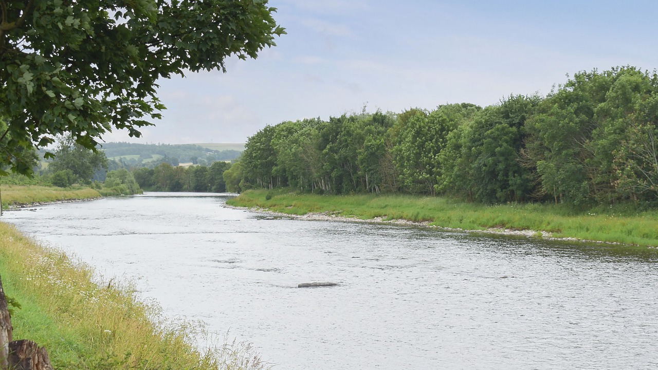 Photo of Others in Gattonside