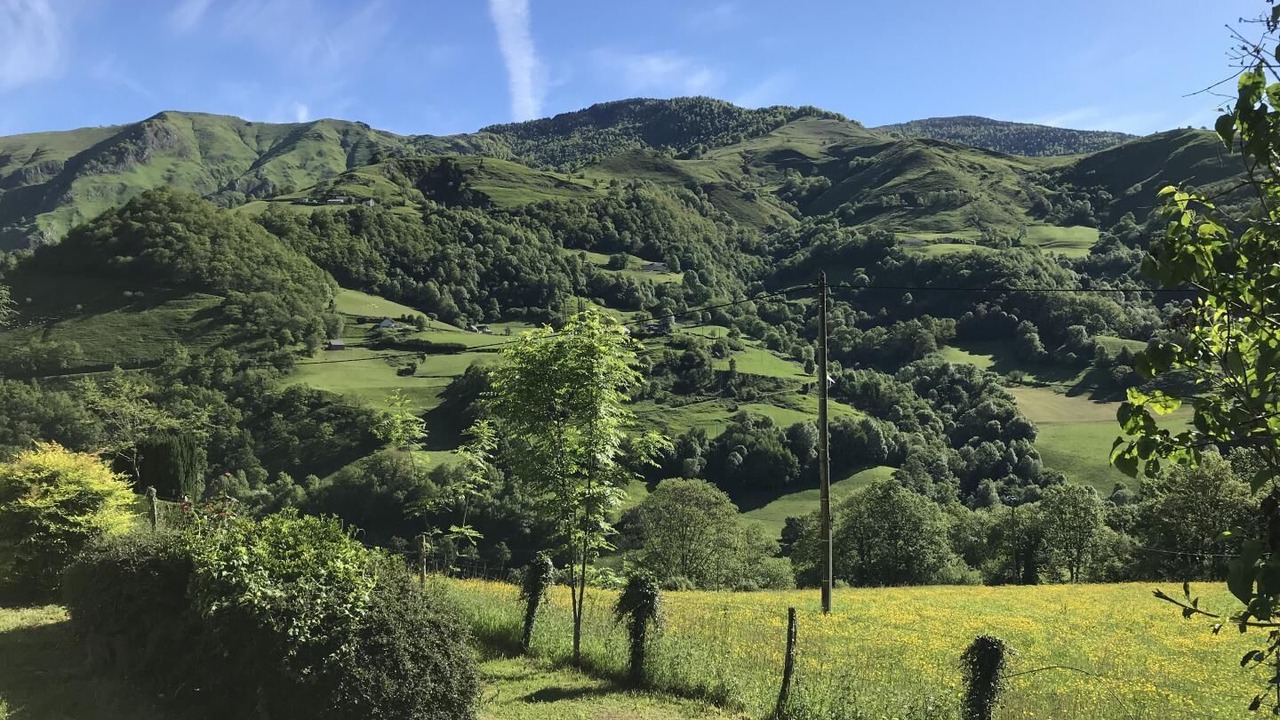 Photo of Outdoor in Sainte-Engrace