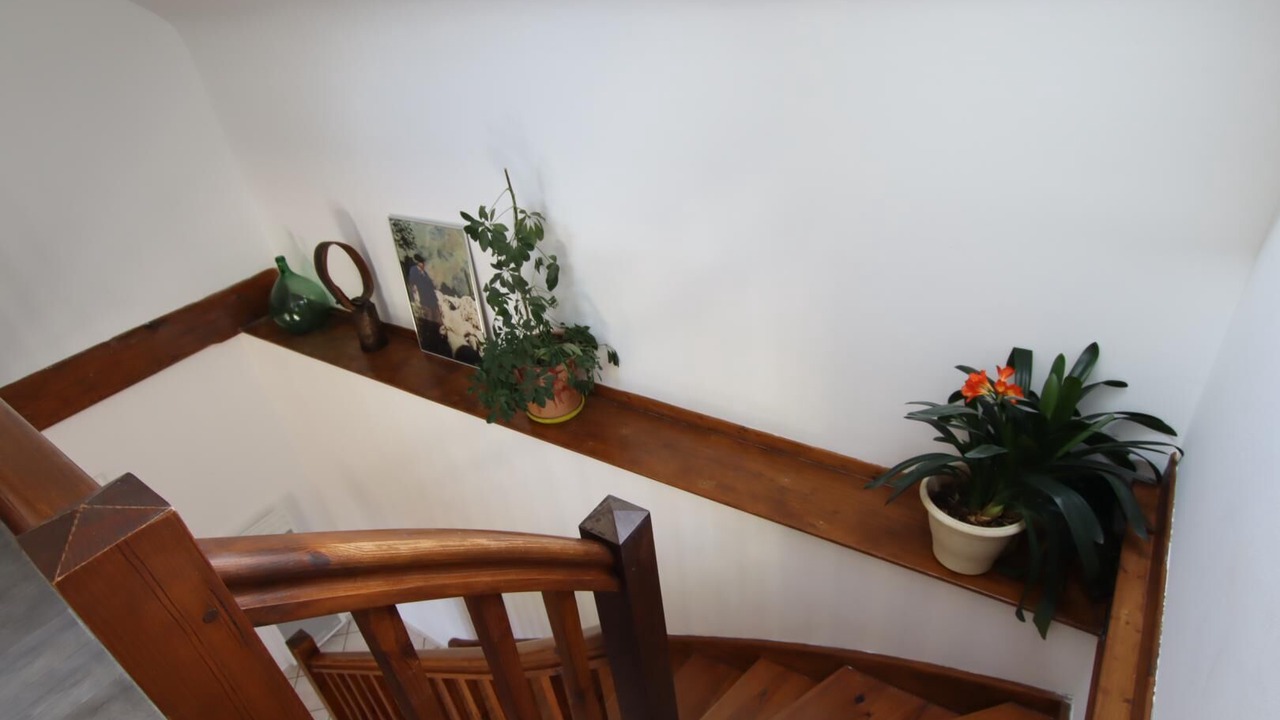 Photo of Others in Sainte-Engrace