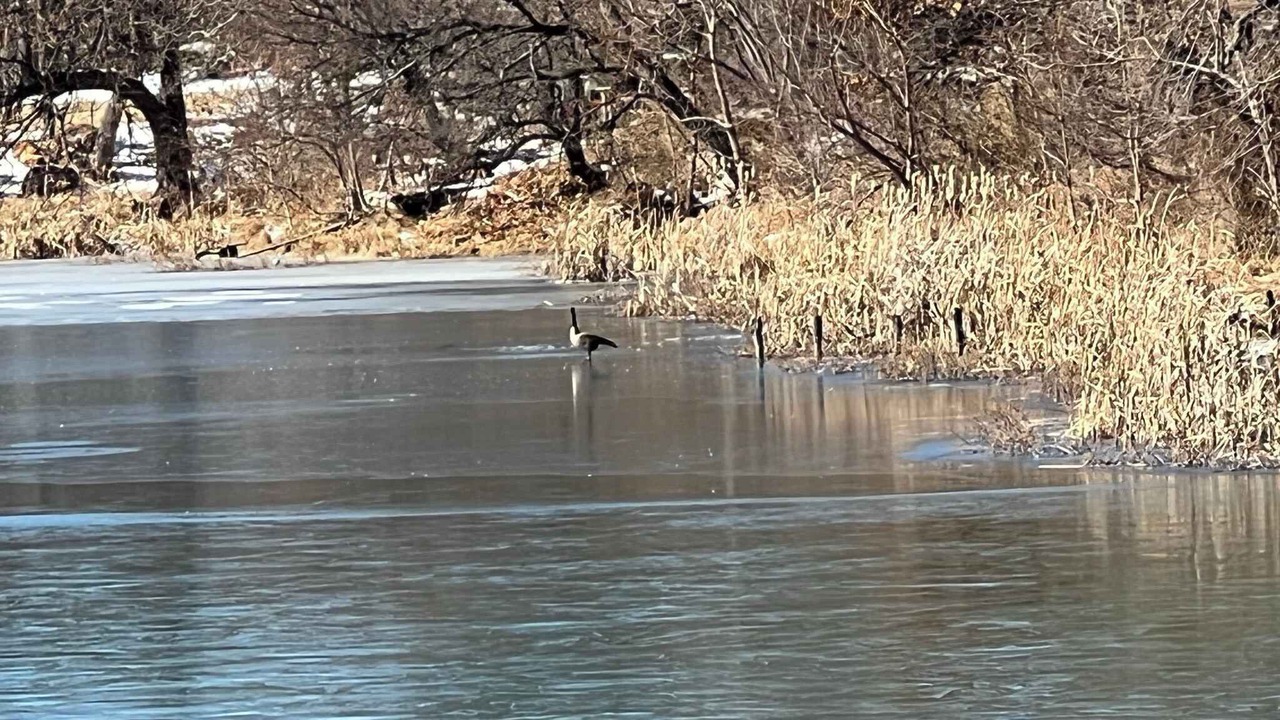 Photo of Others in Medicine Park