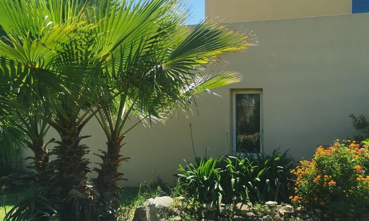 Photo of Outdoor in Calenzana