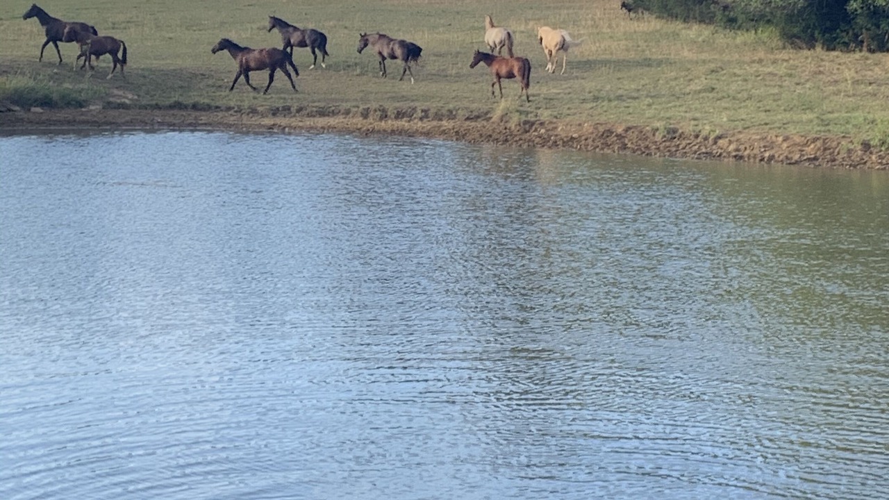 Photo of Outdoor in Fort Scott