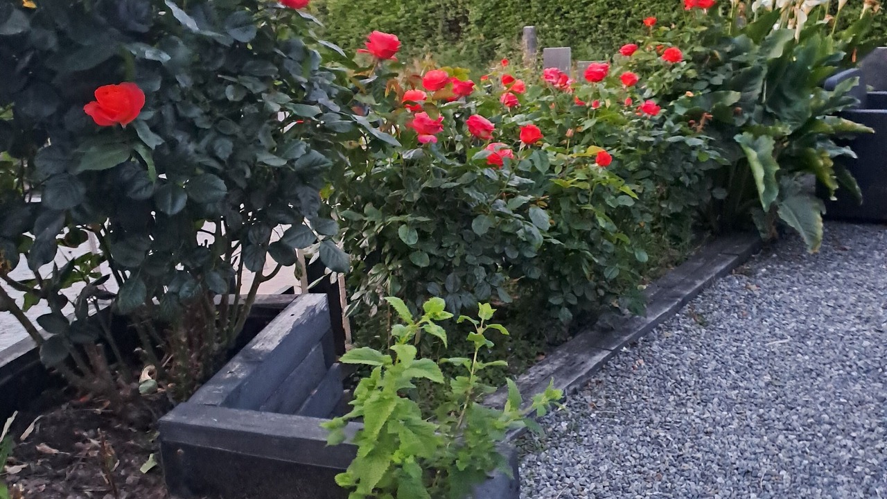 Photo of Outdoor in Rieux