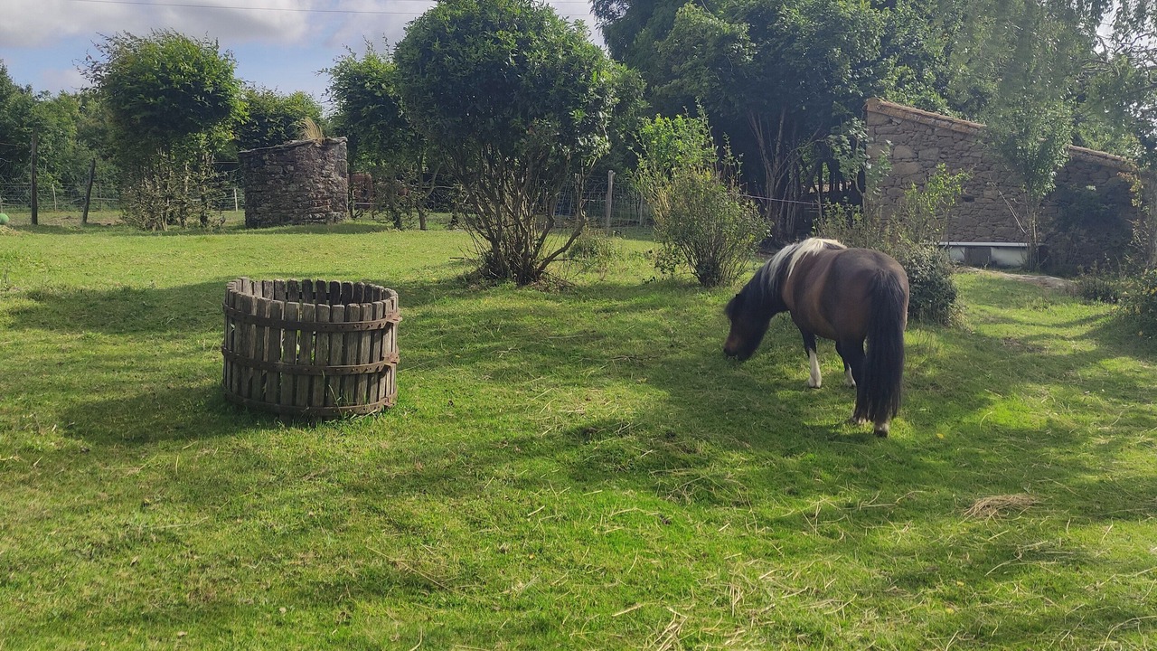 Photo of Outdoor in La Bruffiere