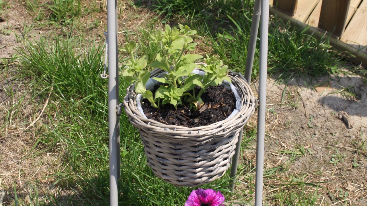 Photo of Outdoor in Boufflers