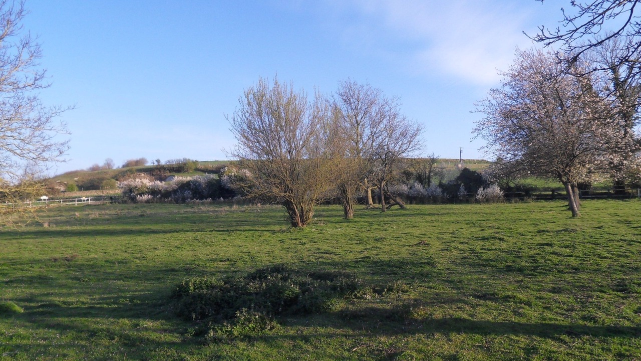 Photo of Outdoor in Boufflers