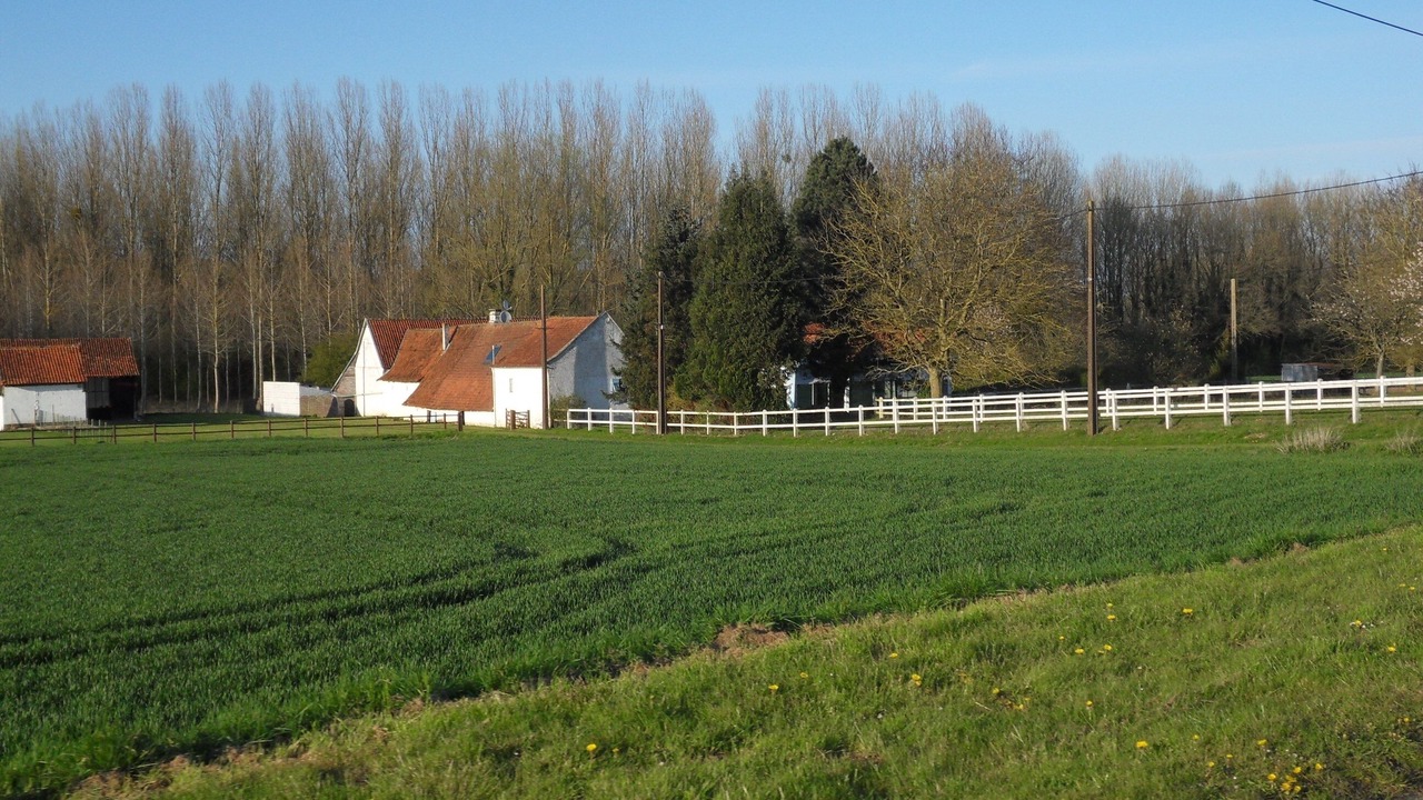 Photo of Others in Boufflers