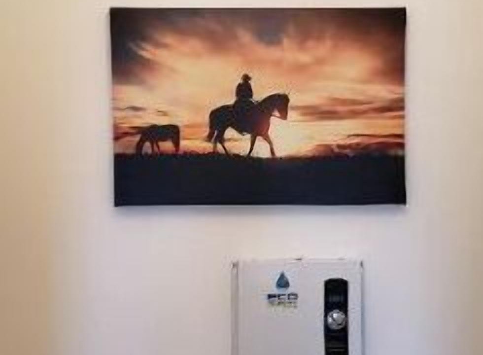 Photo of Bedroom in Marfa
