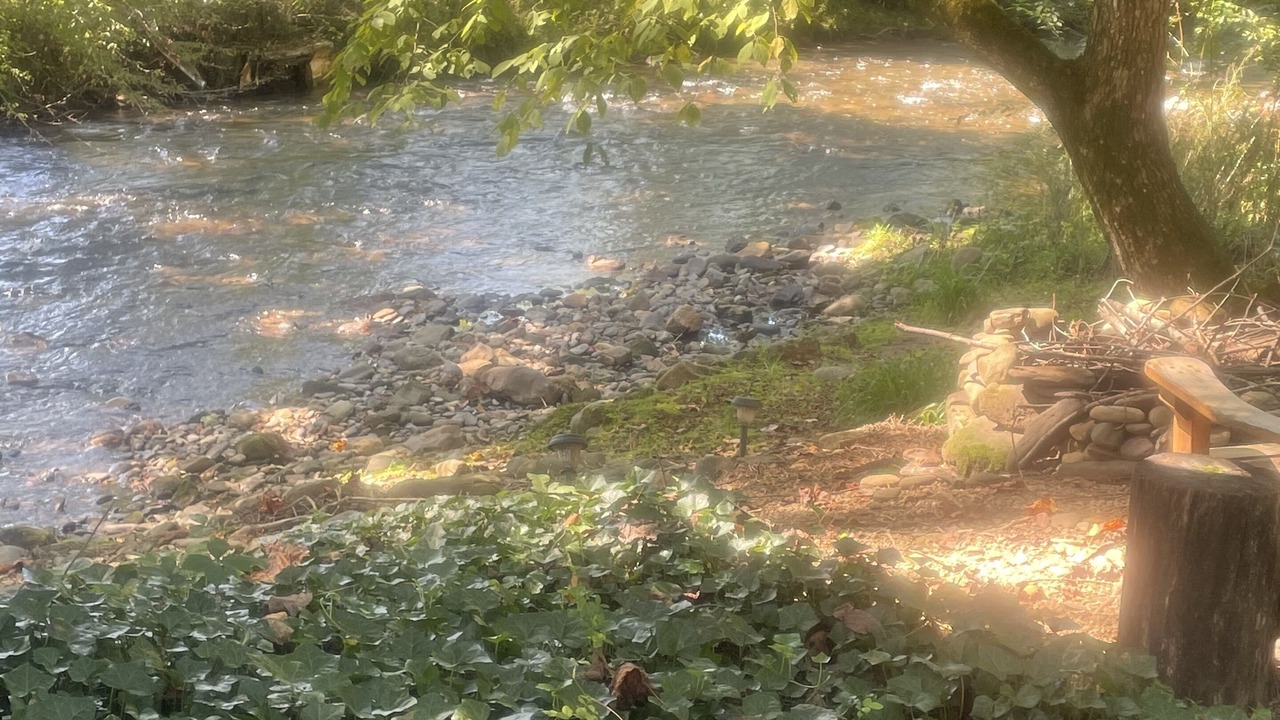 Photo of Others in Hayesville