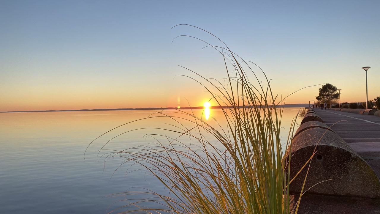 Photo of Others in Hourtin