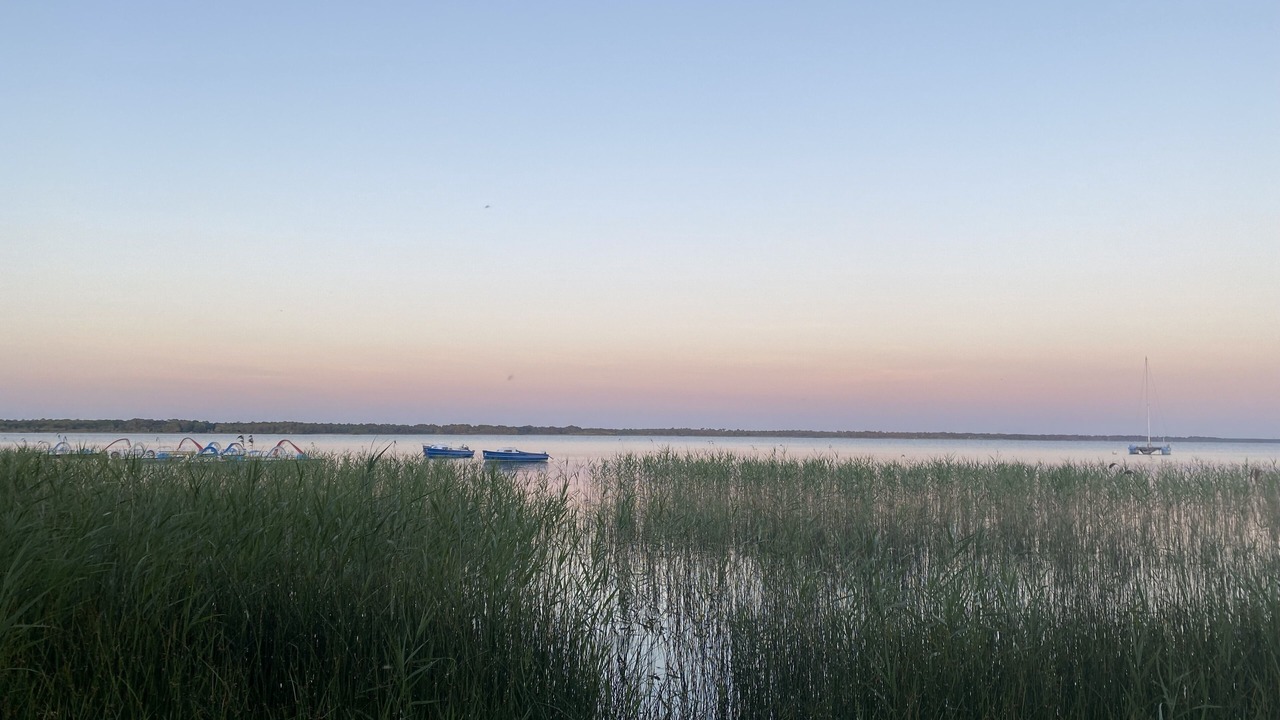 Photo of Others in Hourtin