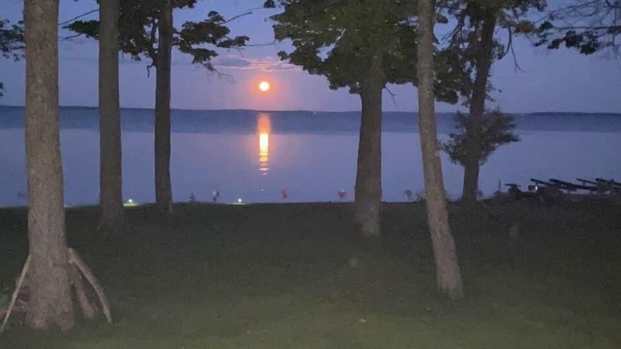 Photo of Outdoor in Jocelyn