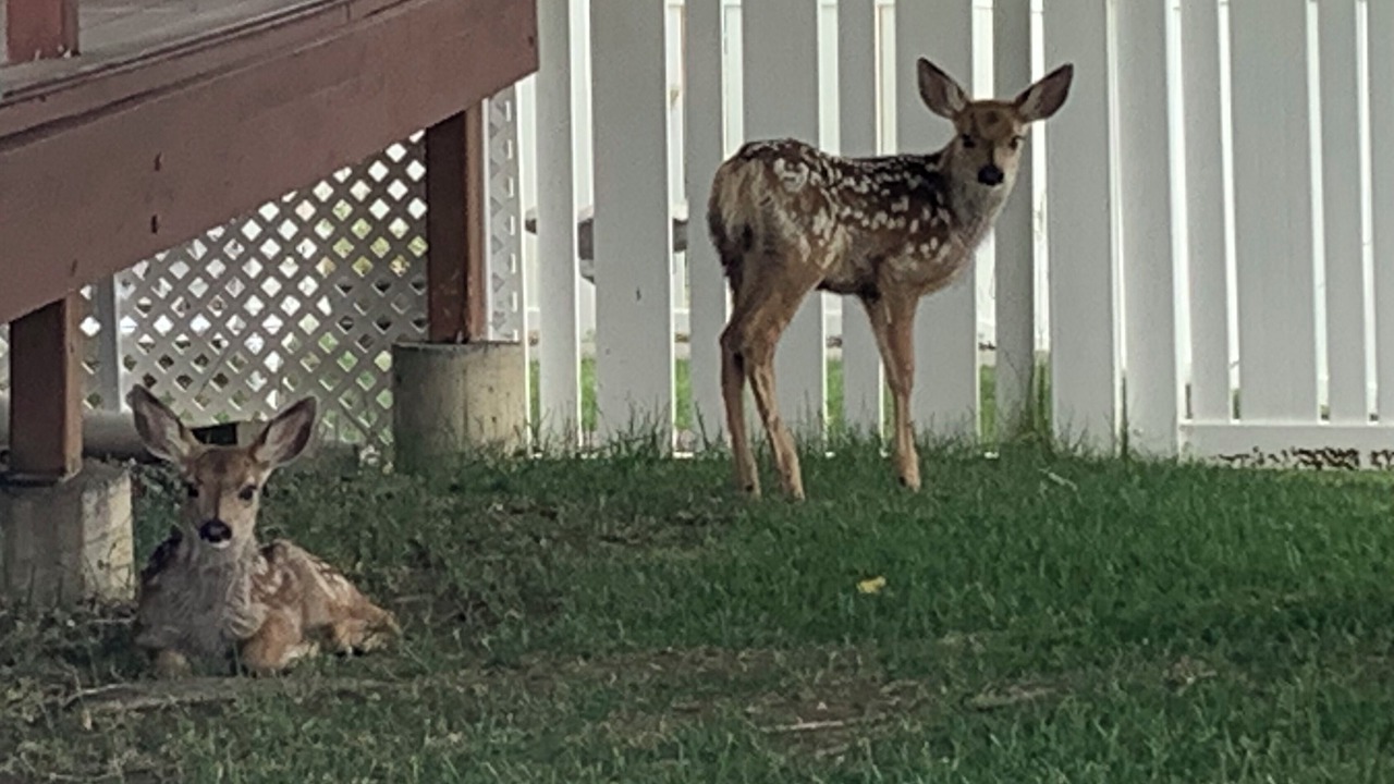 Photo of Outdoor in Billings