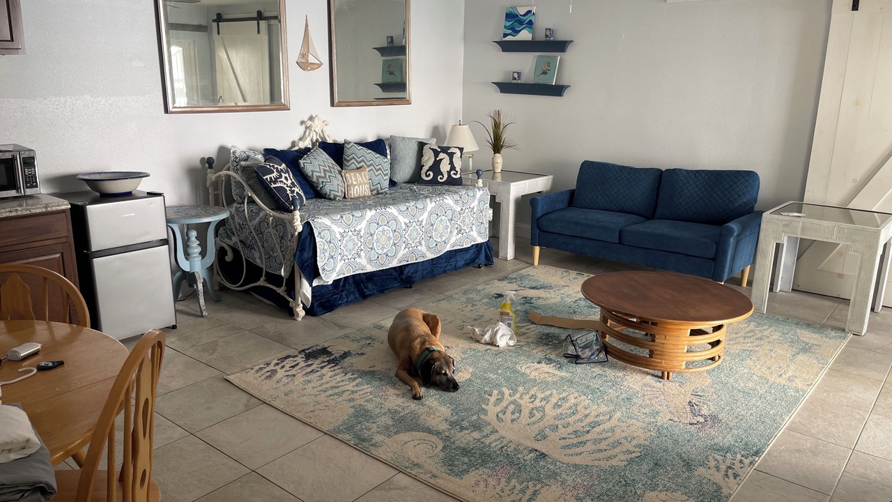 Photo of Livingroom in Indian Rocks Beach