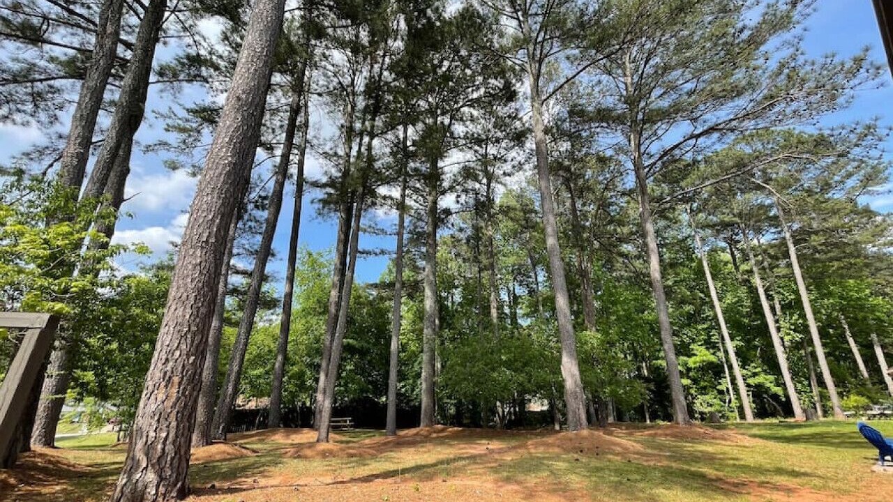 Photo of Outdoor in Leslie Estates