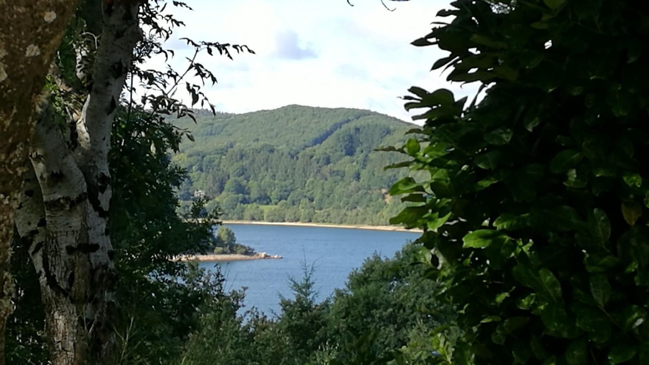 Photo of Outdoor in La Salvetat-sur-Agout