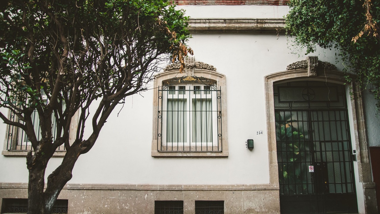 Photo of Others in Colonia Roma