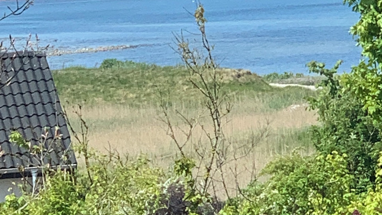 Photo of Others in Thyholm