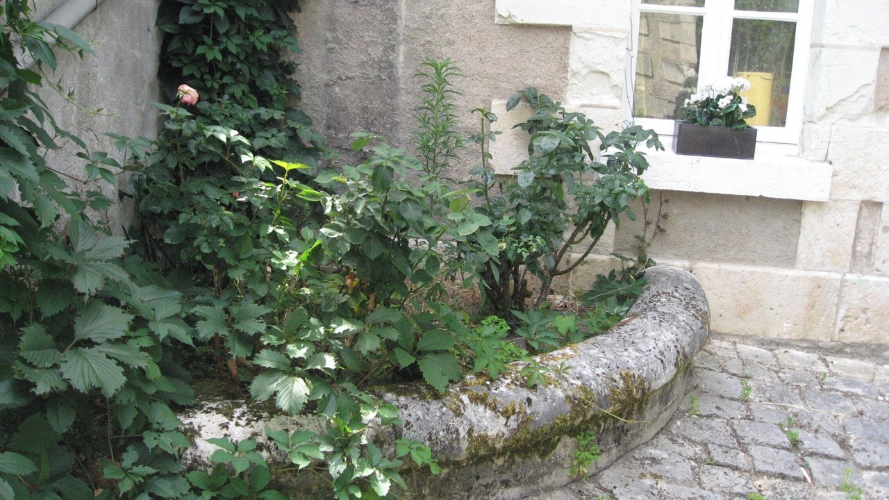 Photo of Outdoor in Blere
