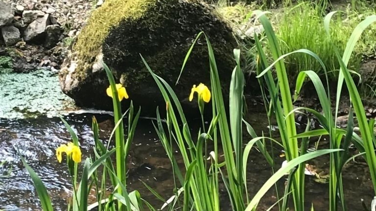 Photo of Outdoor in Saint-Martin-de-Fressengeas