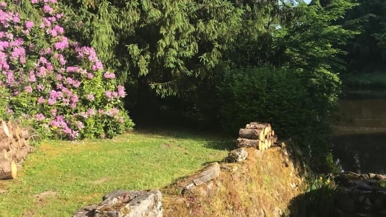 Photo of Outdoor in Saint-Martin-de-Fressengeas