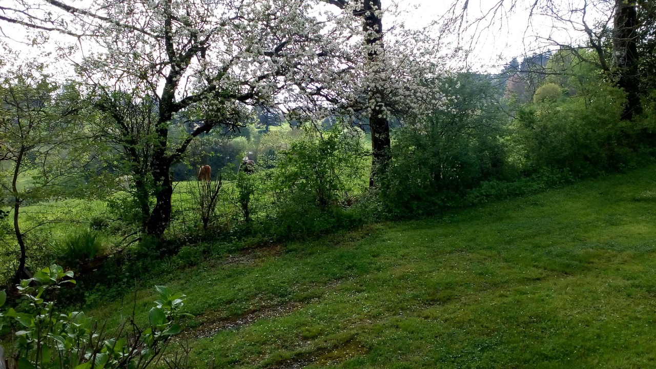 Photo of Outdoor in Les Cammazes