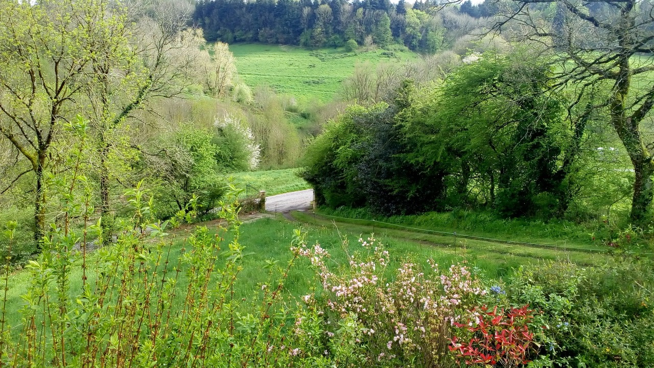 Photo of Outdoor in Les Cammazes