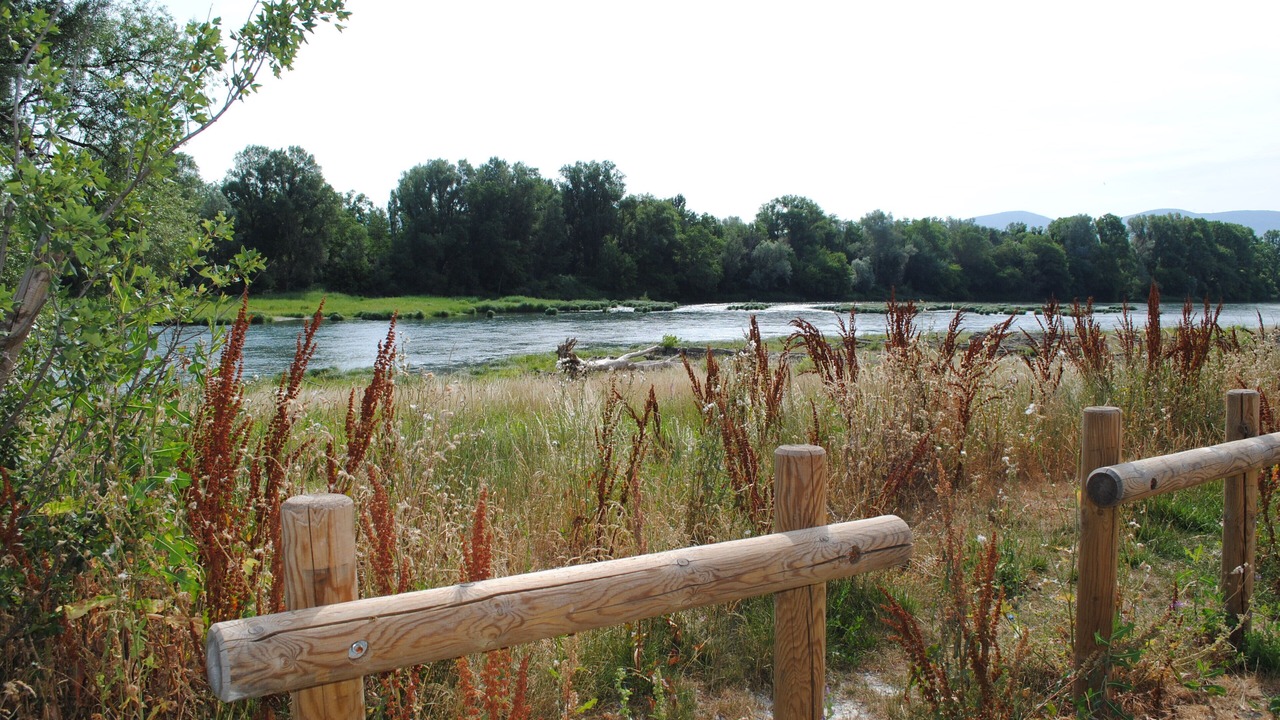 Photo of Outdoor in Baix