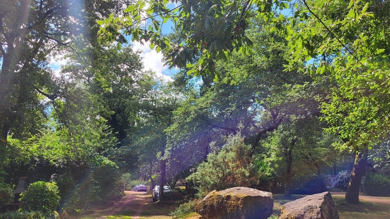 Photo of Outdoor in Champs-Romain