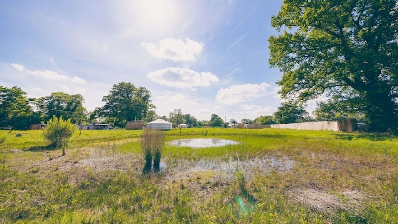 Photo of Others in Attleborough