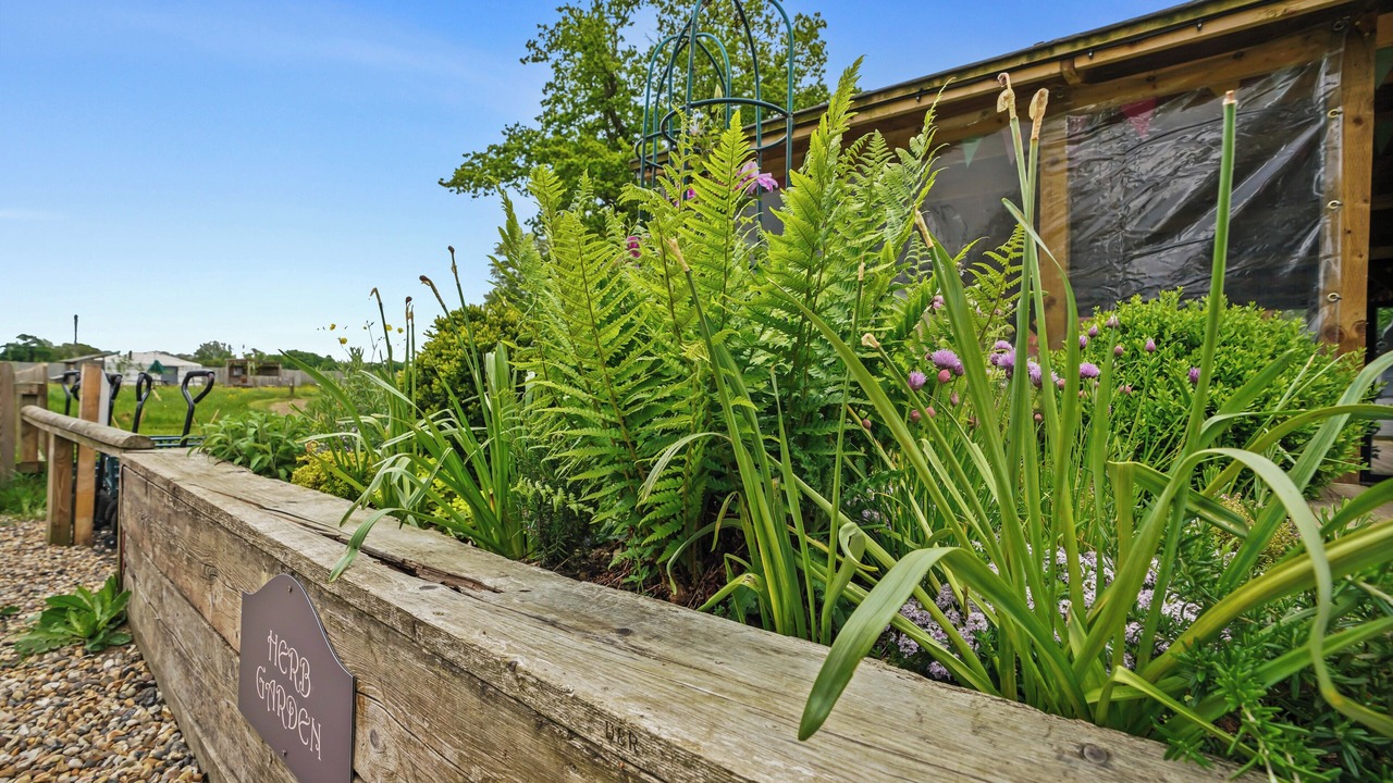 Photo of Outdoor in Attleborough