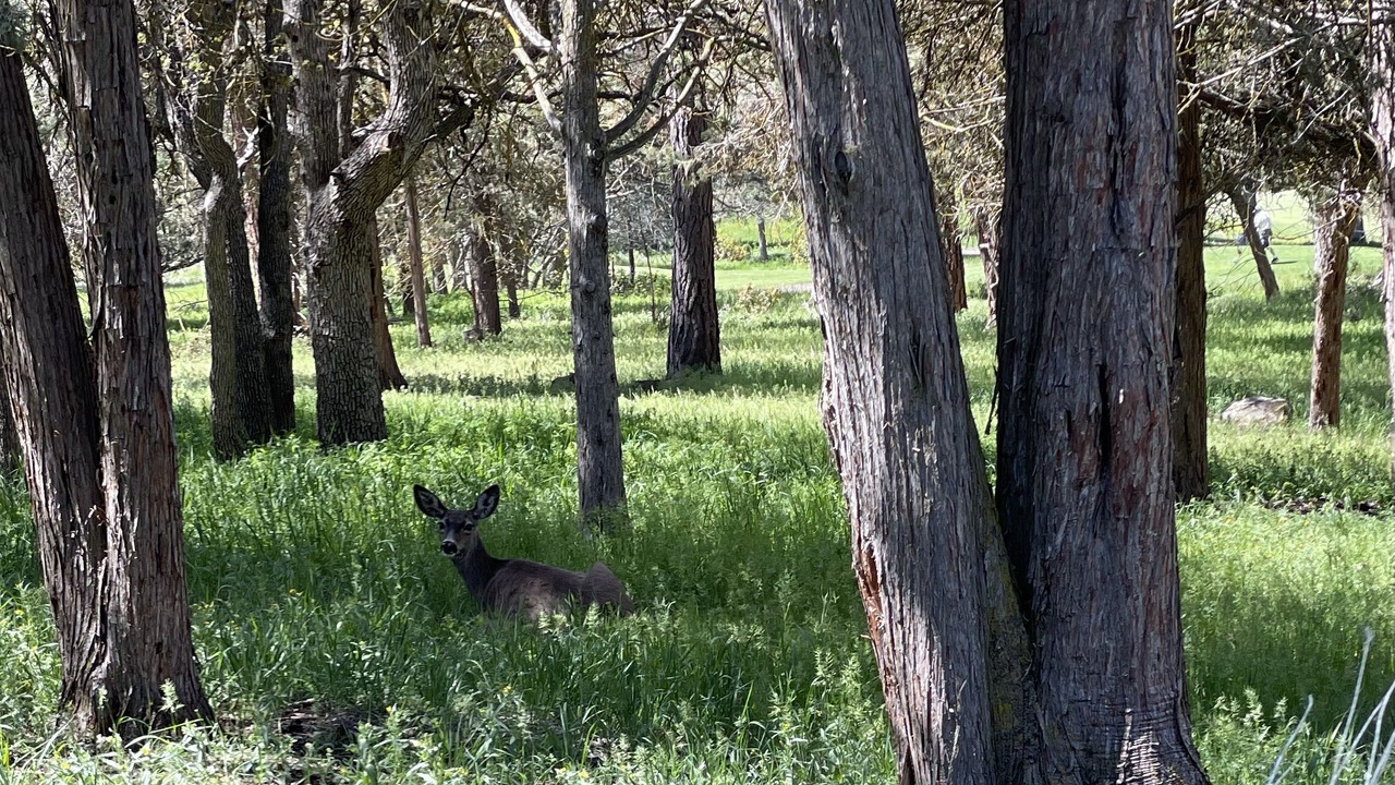 Photo of Outdoor in Klamath Falls