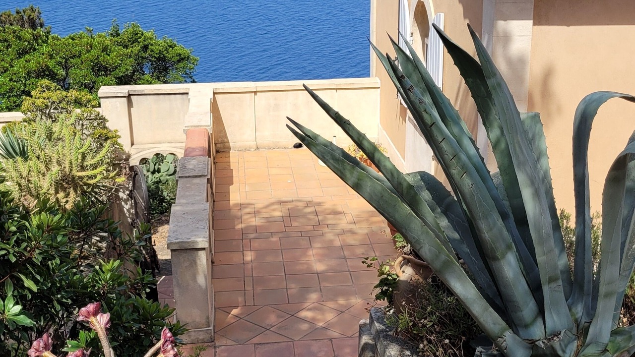 Photo of Outdoor in Ile du Levant