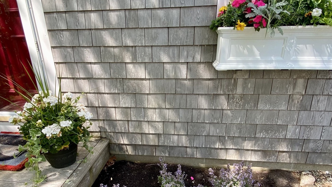 Photo of Outdoor in Tom Nevers