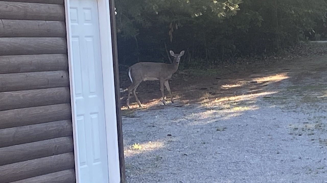 Photo of Others in Falls of Rough