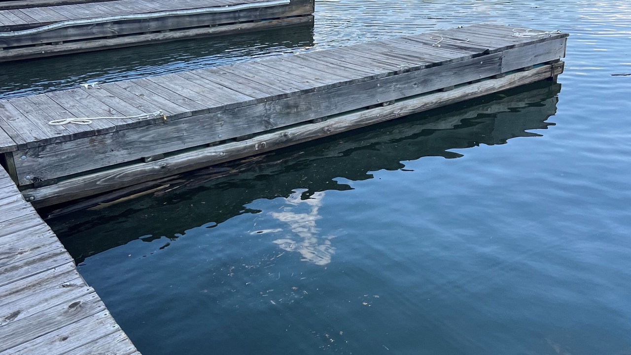 Photo of Outdoor in Falls of Rough