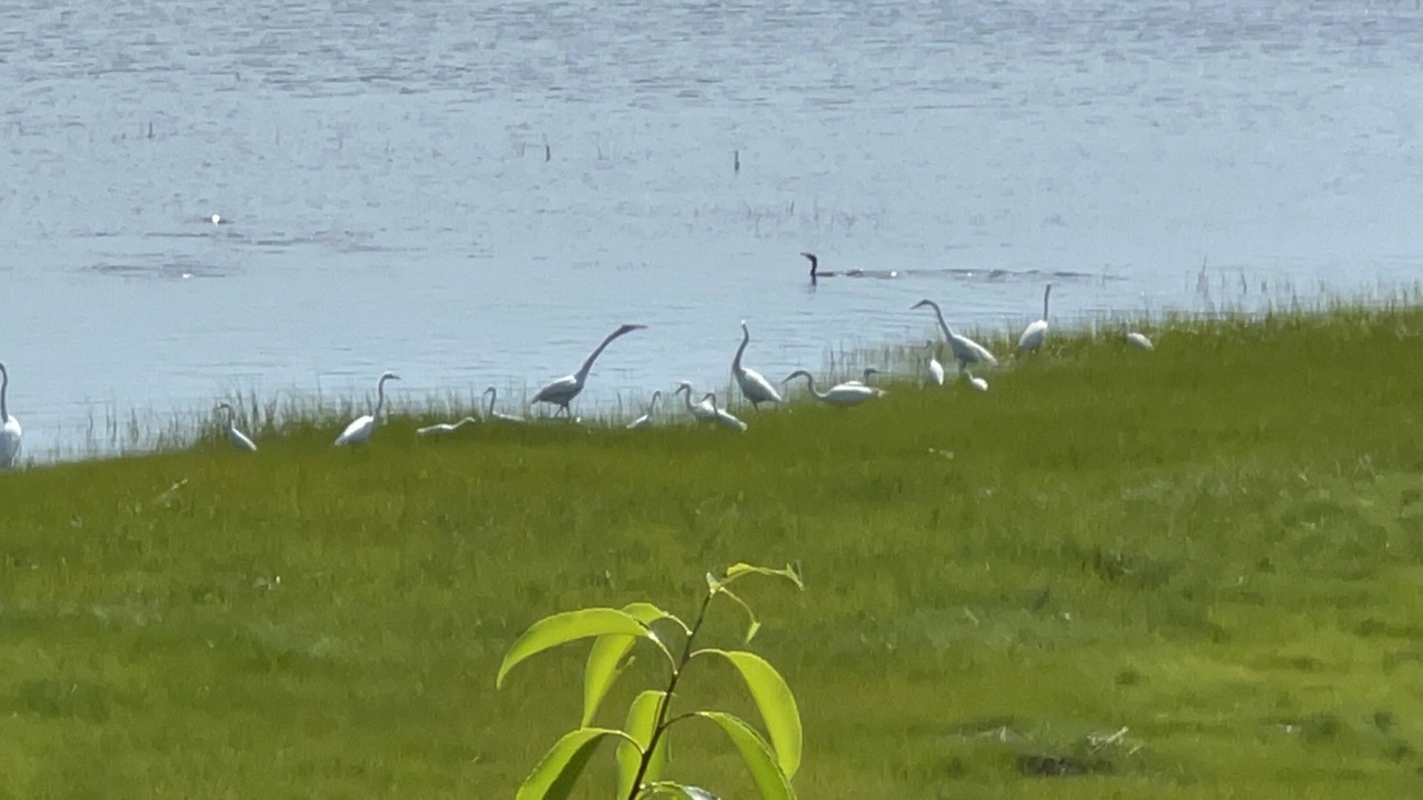 Photo of Others in Gloucester