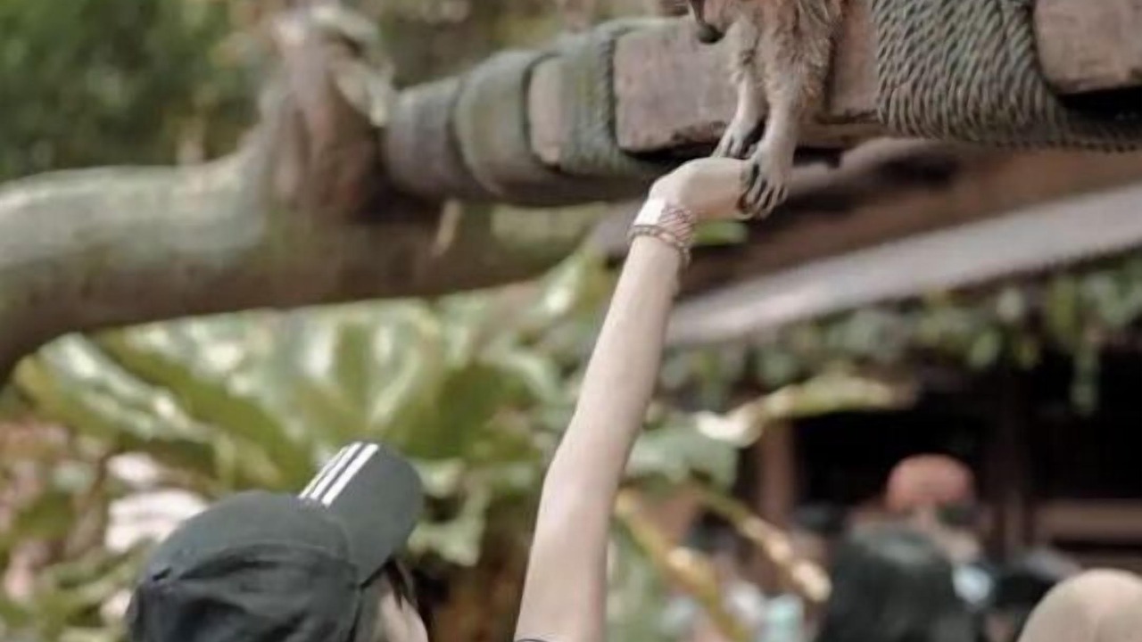 Photo of Others in Seri Kembangan