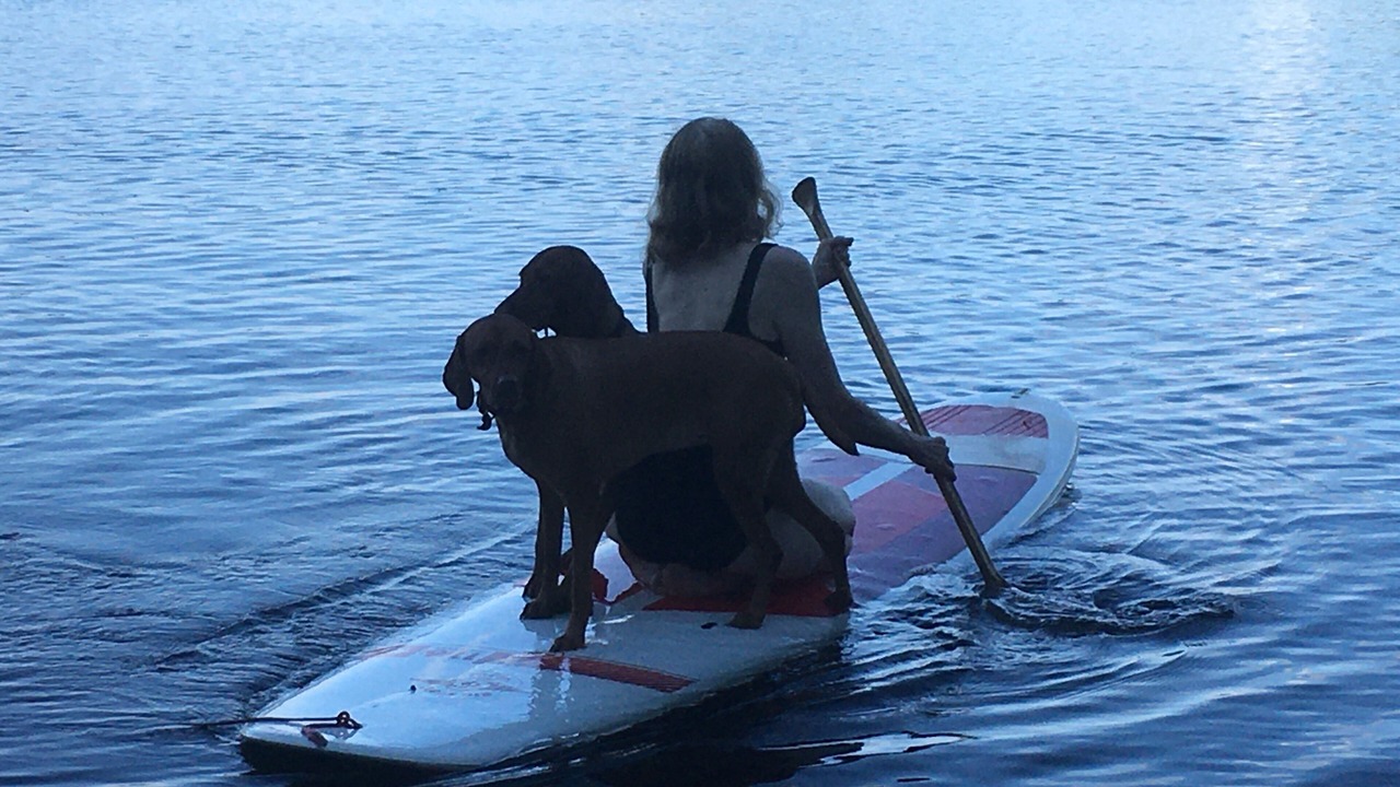 Photo of Others in Cranberry Lake