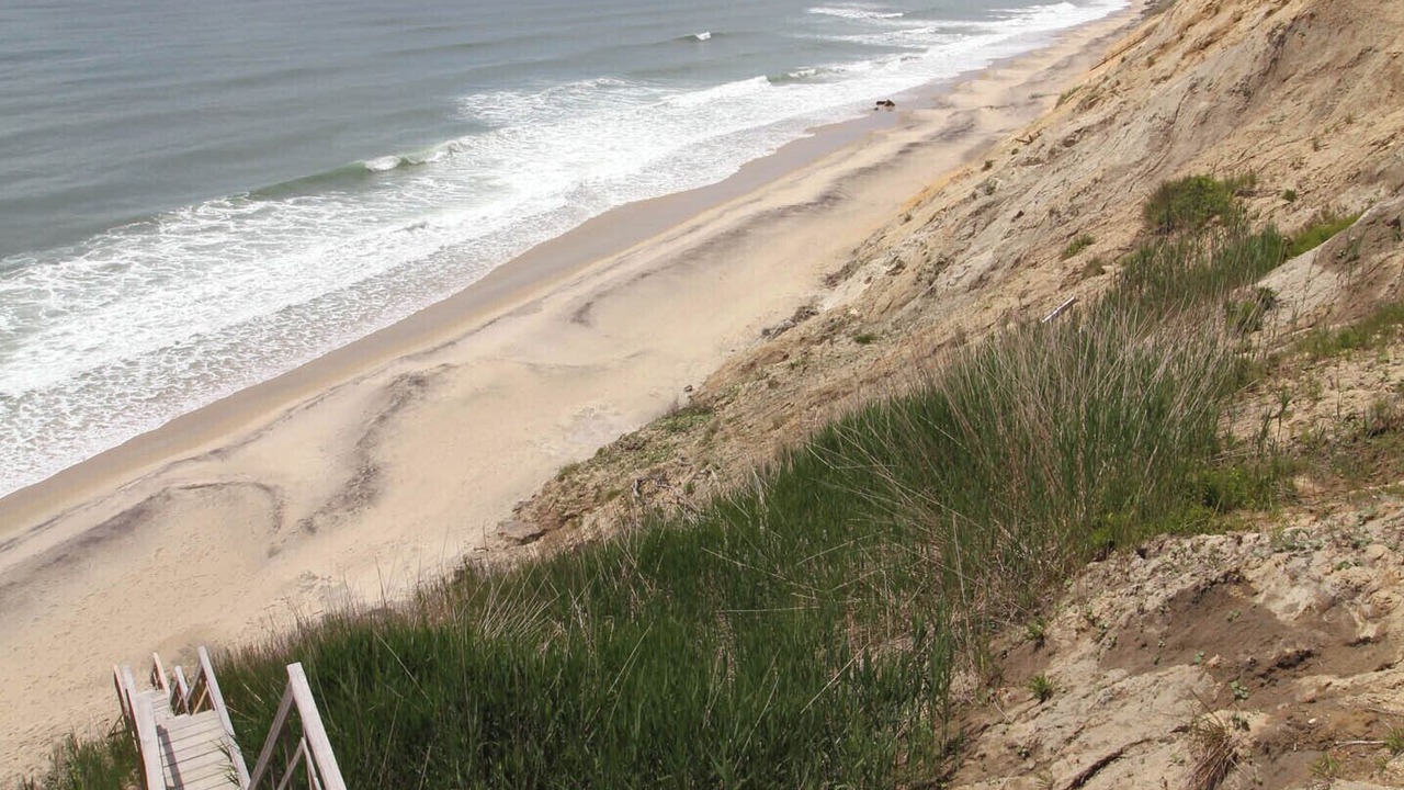 Photo of Others in Chilmark