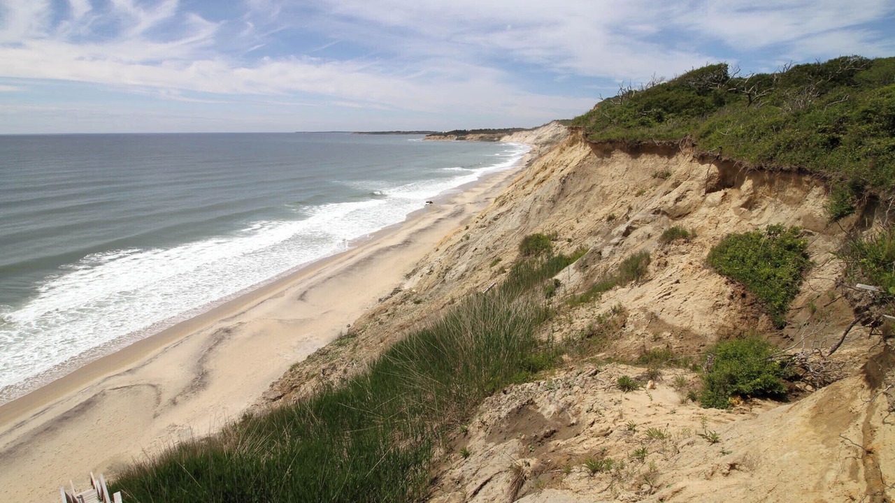Photo of Others in Chilmark
