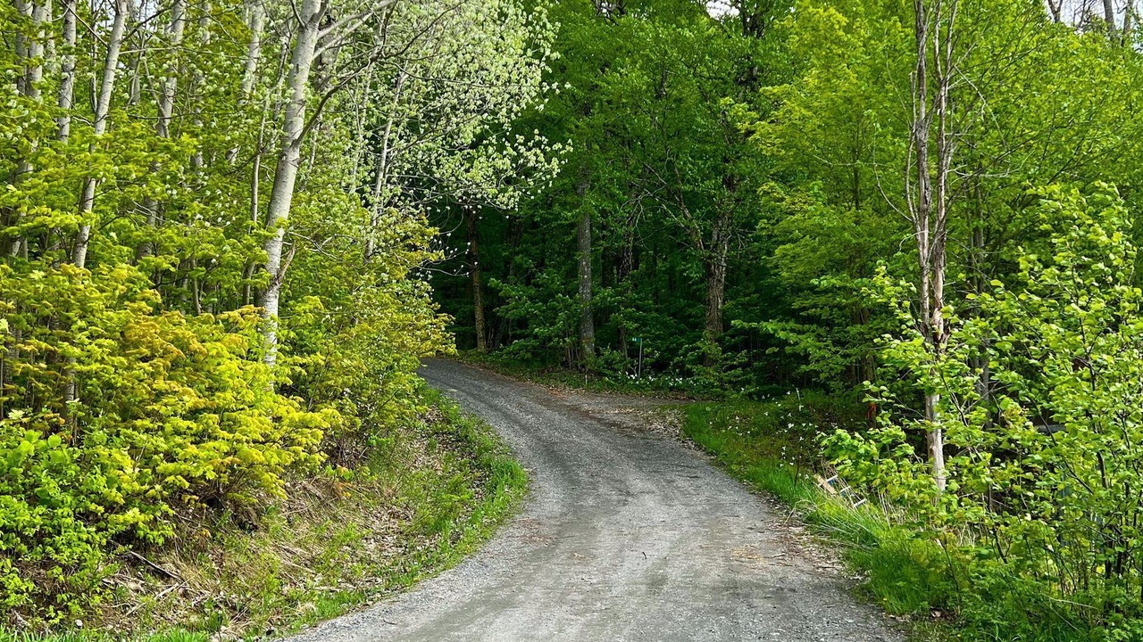 Photo of Outdoor in Whitestone